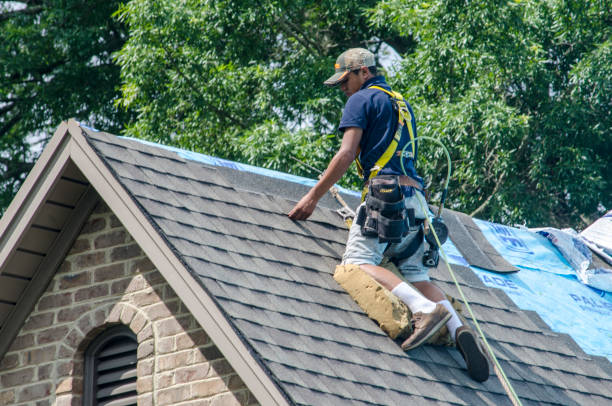 Best Metal Roofing Contractor  in Kinston, NC